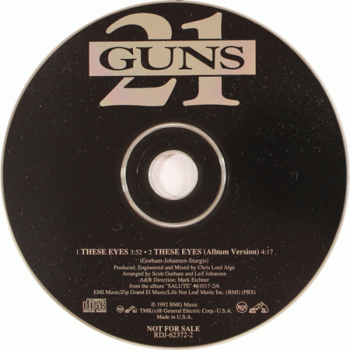 21 Guns : These Eyes